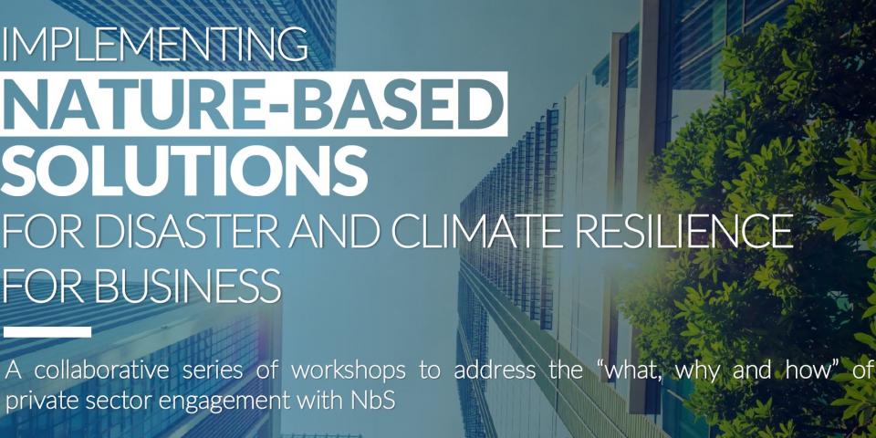 NbS for Disaster and Climate Resilience for Europe