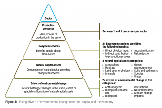 Linking drivers of environmental change to natural capital and the economy