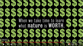 'Big question: What is nature worth?' video thumbnail