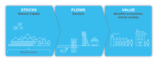 Stocks and flows