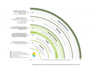 The natural capital landscape