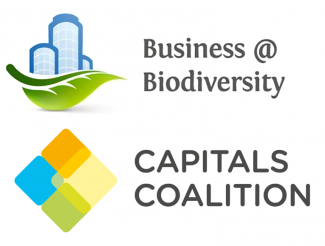 B@B, Capitals-Coalition