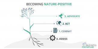 Infographic for nature positivity