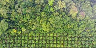 We Value Nature