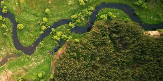 We Value Nature
