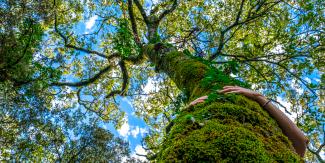 We Value Nature