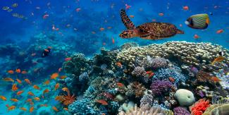 We Value Nature