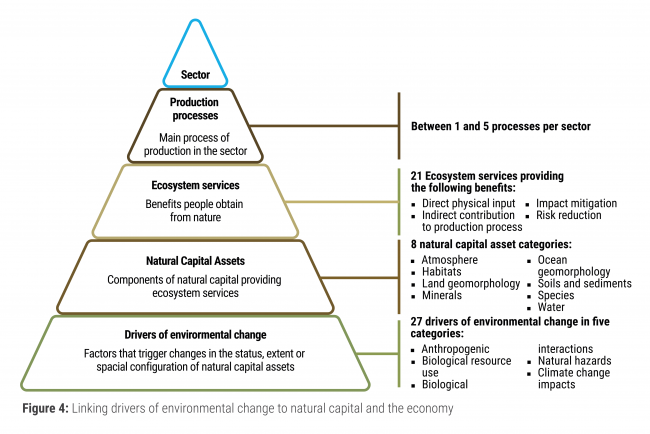 Linking drivers of environmental change to natural capital and the economy